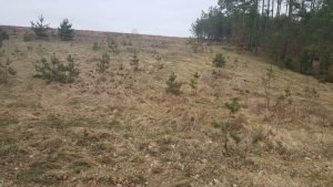 Działka budowlana Żuromino 150m od jeziora